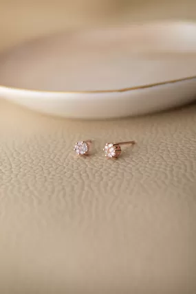 Itsy Bitsy Rose Gold Plated Sterling Silver Stud Earrings