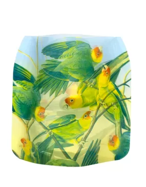 John J. Audubon Carolina Parakeet : Luminary Lantern / Candle Holder